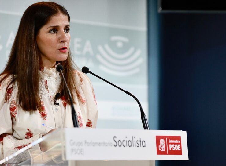 PSOE y Unidas critican la gestin que la Junta realiza de los exmenes de Enfermera