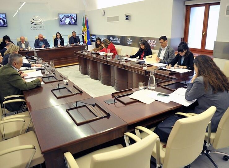 La Asamblea designar este jueves al senador autonmico por Vox y abordar la despoblacin