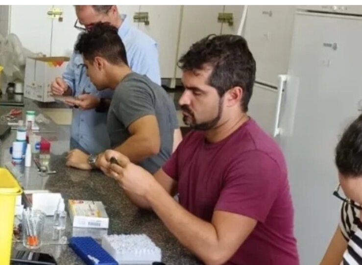 Estudio UEX revela que un avin comn podra contribuir transmisin virus aves a humanos