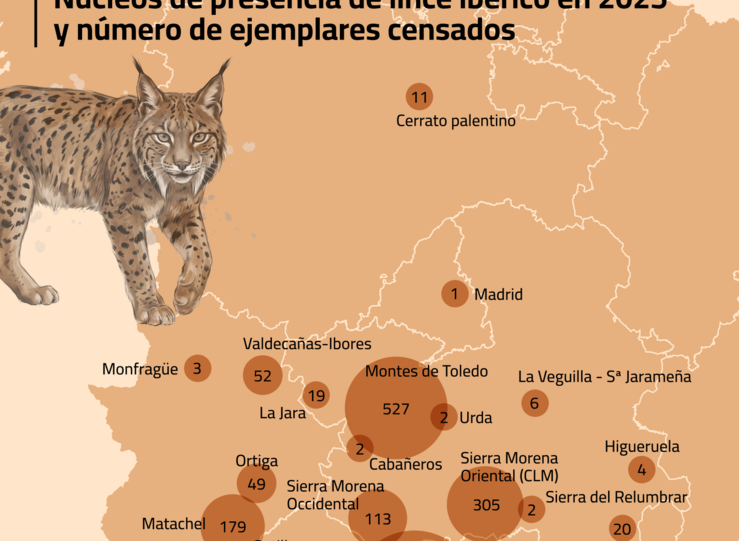 La poblacin de lince ibrico alcanz su nuevo mximo con 2663 ejemplares en 2025