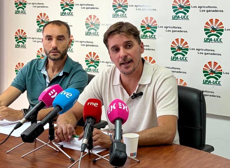 UPAUCE Extremadura alerta de que el cereal de secano est en peligro con cada produccin