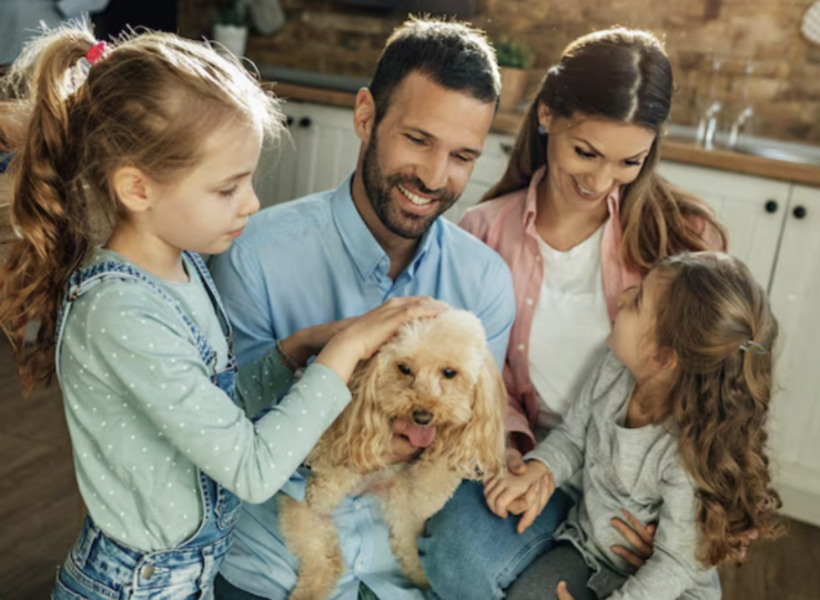 Los 4 seguros que una familia con mascota debera tener