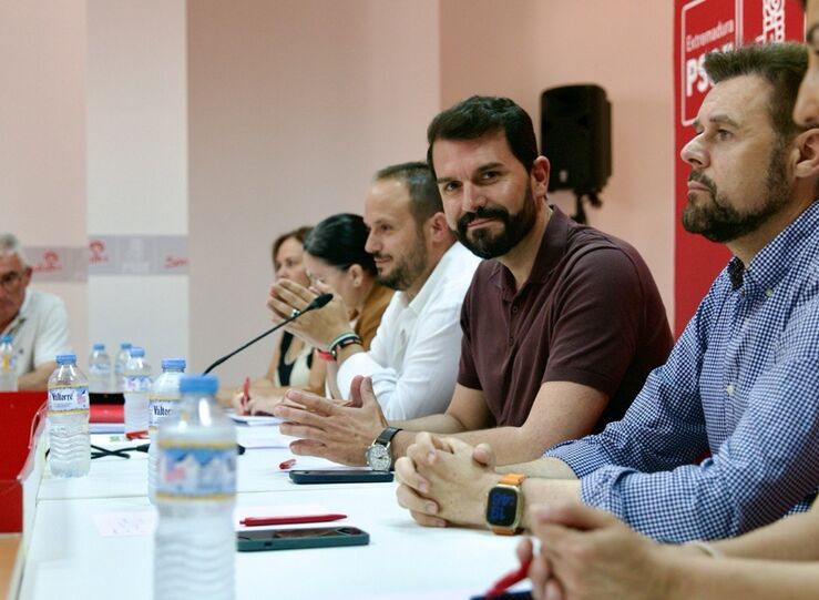 PSOE critica que Junta suprima gratuidad vacunas contra lengua azul al inicio de campaa