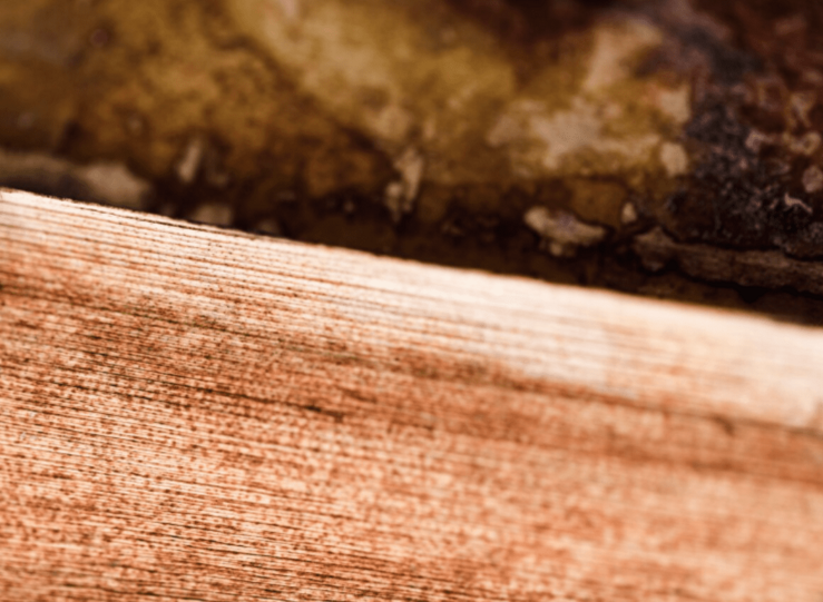 Madera certificada FSC y el nuevo valor de los bosques