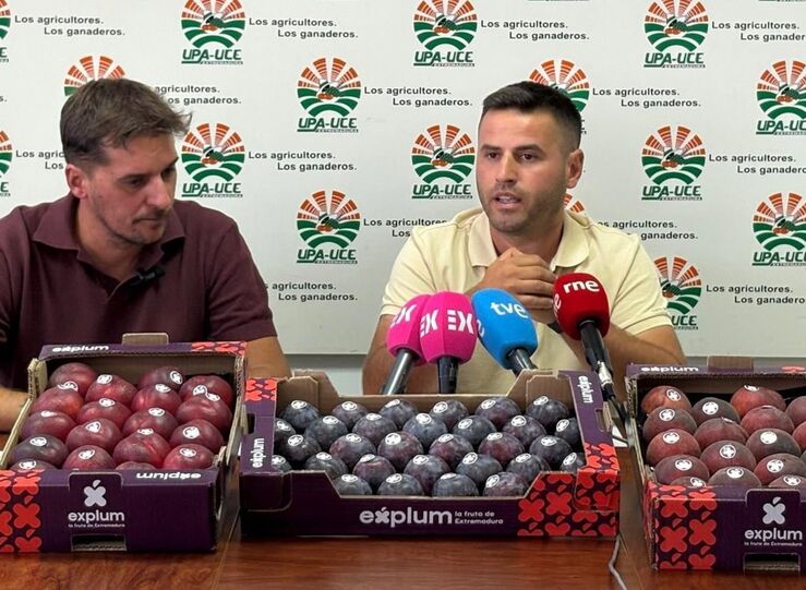 UPAUCE alerta una subida de hasta 900 del precio de fruta entre agricultor y consumidor