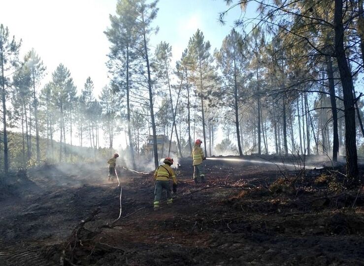 Extremadura pide a Gobierno consenso en decreto prevencin laboral en incendios forestales