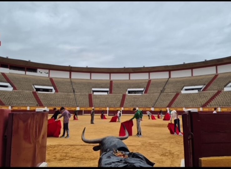 Diputacin Badajoz oferta cuatro becas alojamiento para alumnos de Escuela de Tauromaquia