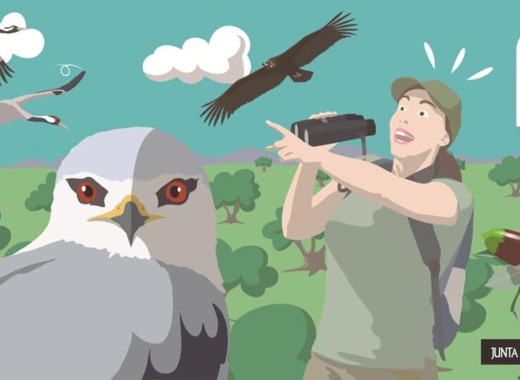 Extremadura se promociona como destino de turismo ornitolgico en la Global Birdfair 