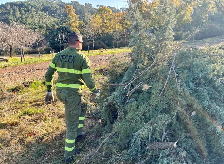 La Junta constituye las bolsas de empleo de las categoras de Bombero Forestal