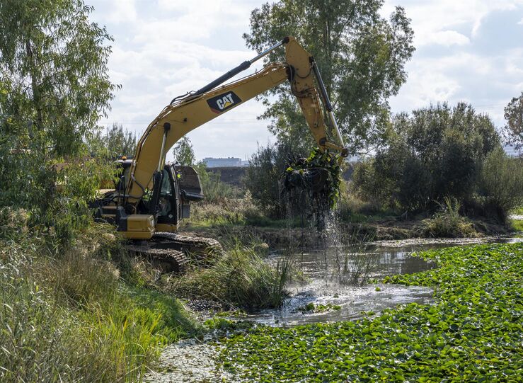CHG contrata la 2 fase del proyecto de control del nenfar mejicano en Badajoz por 143M