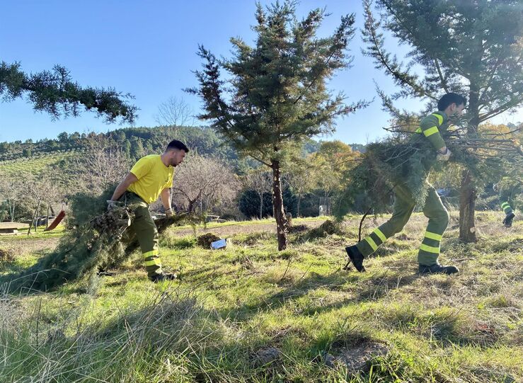 Junta Propuesta PSOE sobre planes de incendios para municipios carece del mnimo rigor 