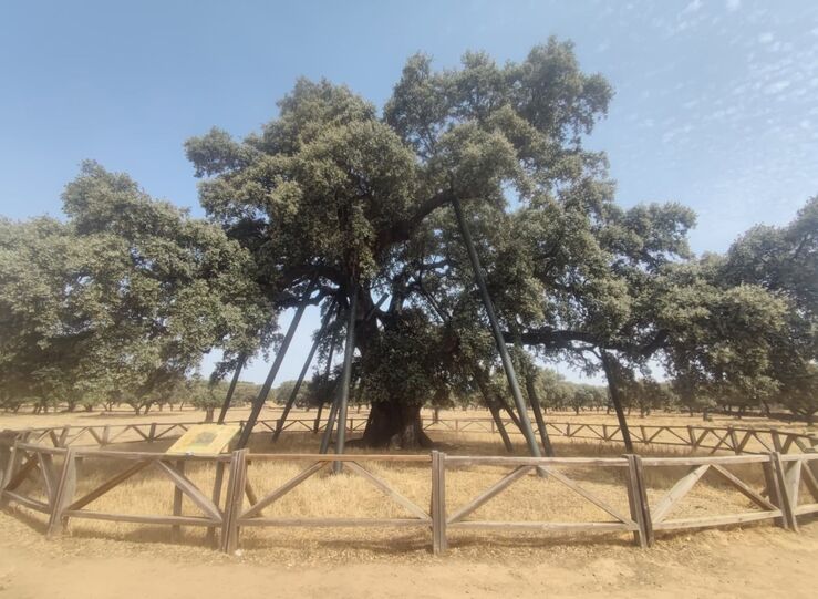 Adenex lleva a 6 municipios su proyecto que promueve conservacin de patrimonio natural