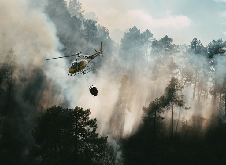 El Plan Infoex intervino en 20 incendios forestales en la ltima semana