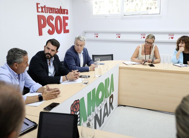 Clster Energa abre con PSOE ronda con partidos para impulsar plan regional de renovables
