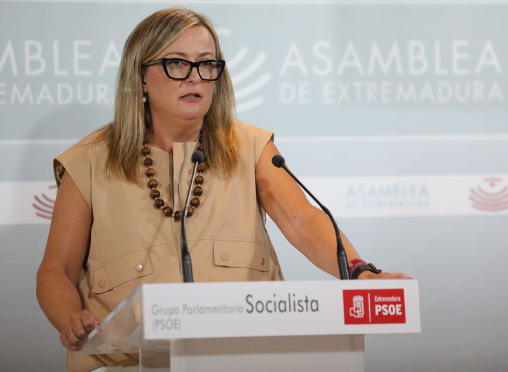 PSOE afirma que marca agenda y la Junta debe reaccionar ante problemas de Extremadura