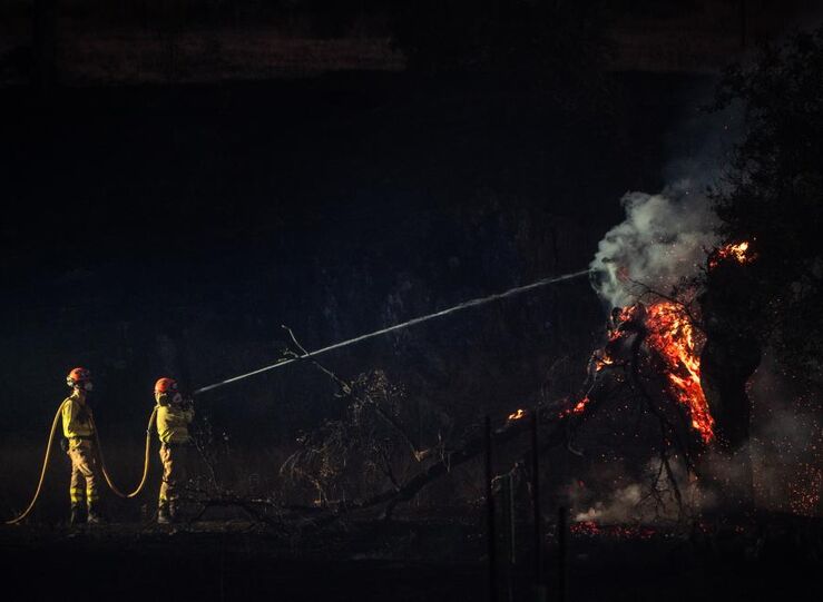 El Plan Infoex interviene en 34 incendios forestales en la ltima semana 