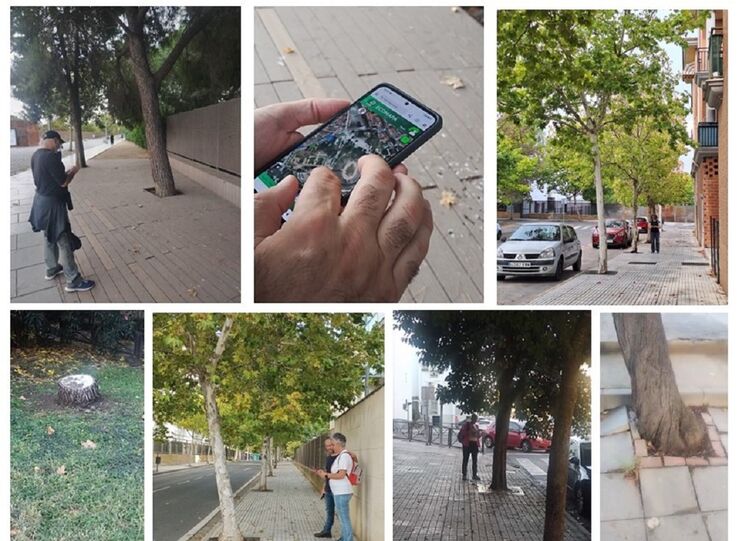 Municipios extremeos se suman a iniciativa para detectar problemas sobre arbolado urbano