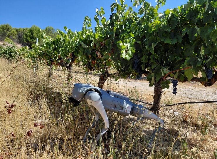 Ctaex presenta un perro robot para explorar nuevas aplicaciones de la Agricultura 50