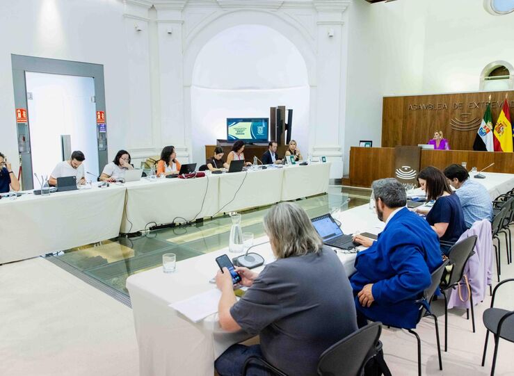 Extremadura conceder 315M en ayudas a natalidad y reconocer proyectos de la juventud