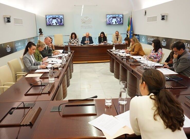 El pleno de la Asamblea debate este jueves sobre vivienda y pensiones 