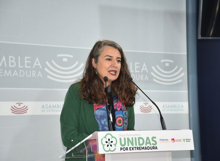 De Miguel seala que el presupuesto de la Junta tiene anuncios vacos y es propaganda