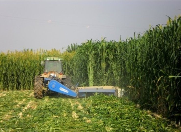 Extremadura establece lnea de ayudas para la fabricacin de biocombustibles slidos