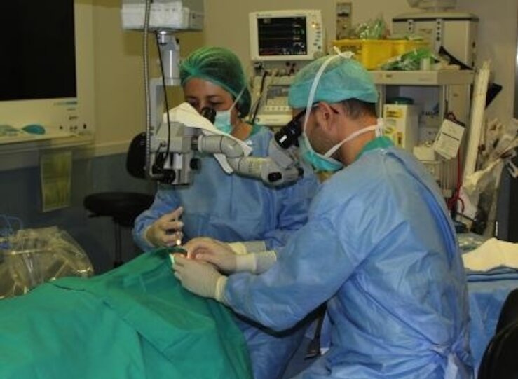 En 2025 Extremadura registr 53 donaciones de rganos de personas fallecidas