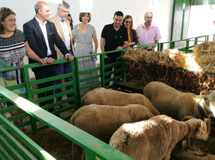 PSOE valora que Extremadura goza de una ganadera protegida