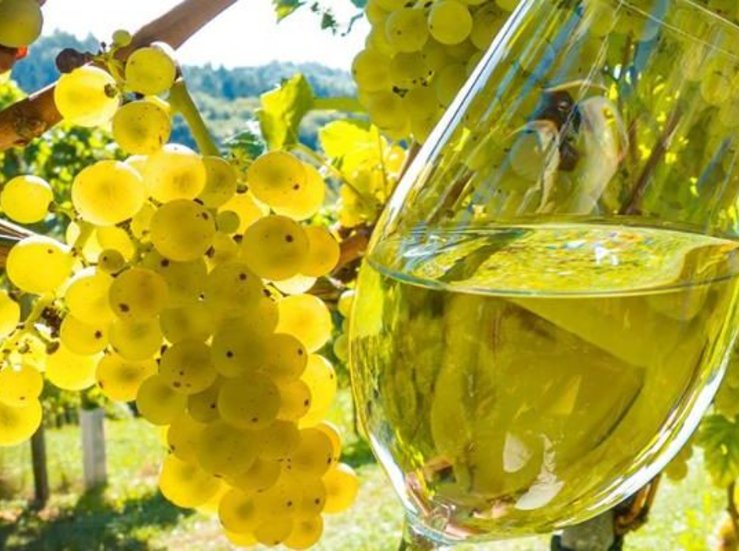 La Unin pide que no se autorice el enriquecimiento de vinos con mostos rectificados