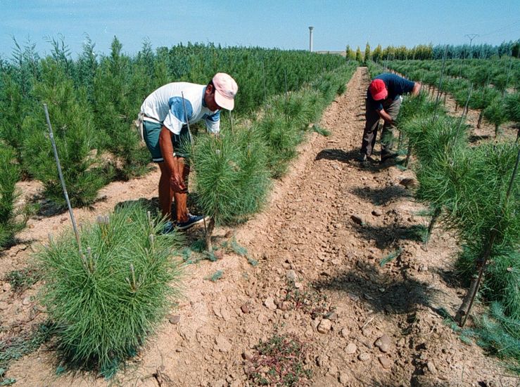 APAG Extremadura Asaja califica de incierto el futuro de 35000 agricultores si sube SMI