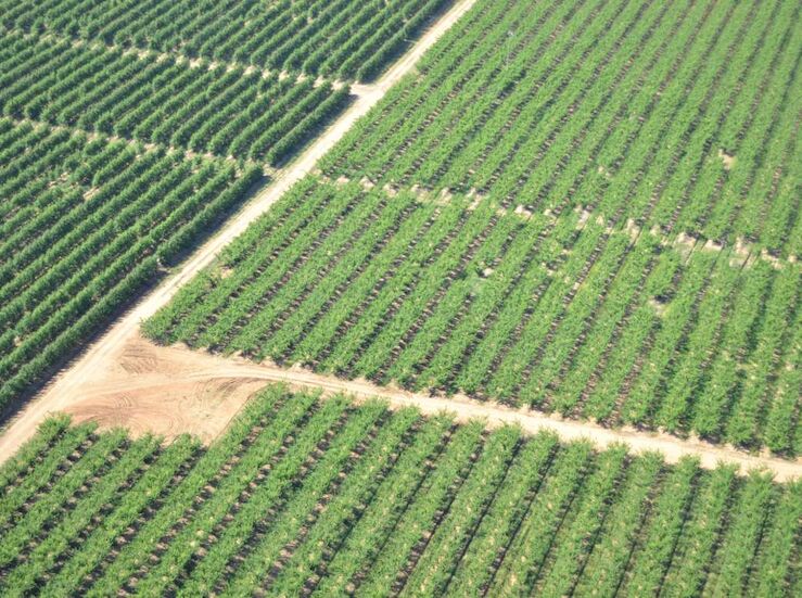 La Junta invierte ms de 26 millones de euros en nuevos regados durante esta legislatura