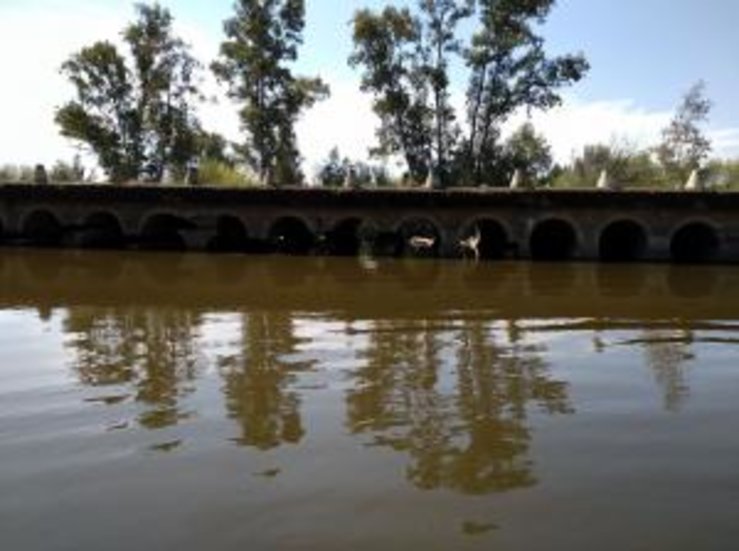 La Confederacin Hidrogrfica del Guadiana corta desde este viernes el Badn de Torremayor