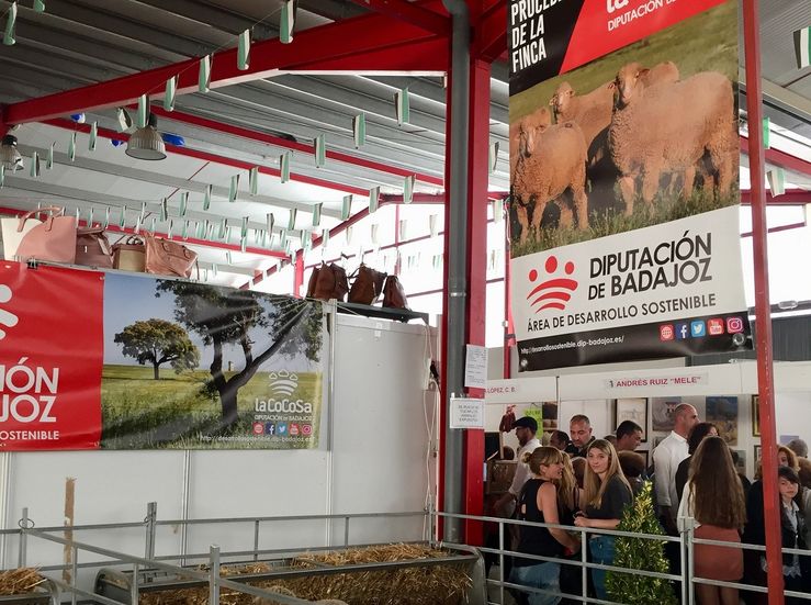 La Diputacin de Badajoz ha participado en cuatro subastas en certmenes ganaderos