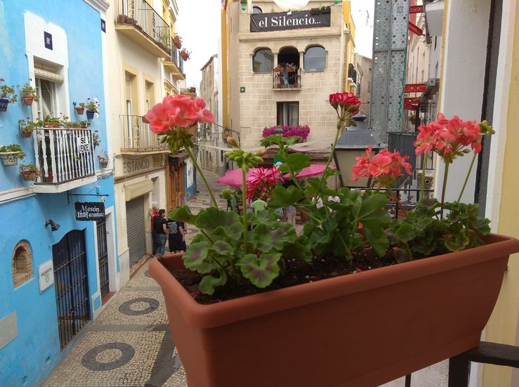 La Asociacin Cvica Ciudad de Badajoz llena de macetas de flores la Calle Moreno Zancudo