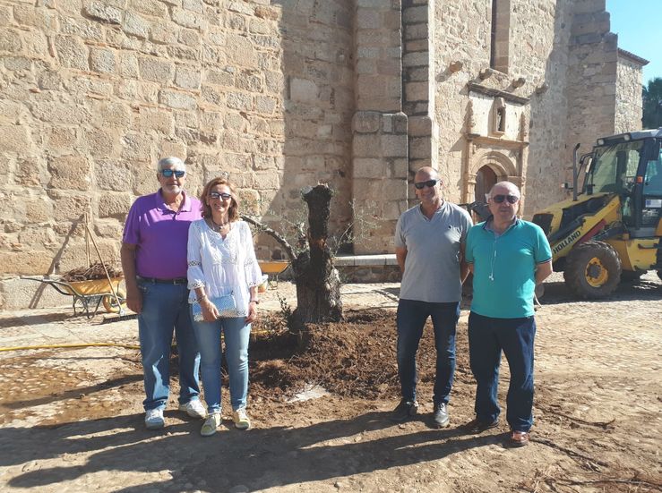 Plantado un olivo centenario a las puertas de la Ermita de la Antigua en Mrida 