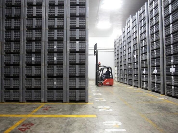 Las exportaciones extremeas cayeron un 24 en el primer semestre del ao