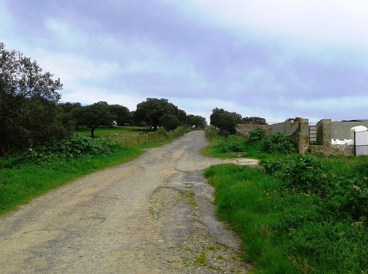 Ayuntamiento de Jerez de los Caballeros desarrolla un programa arreglo caminos rurales