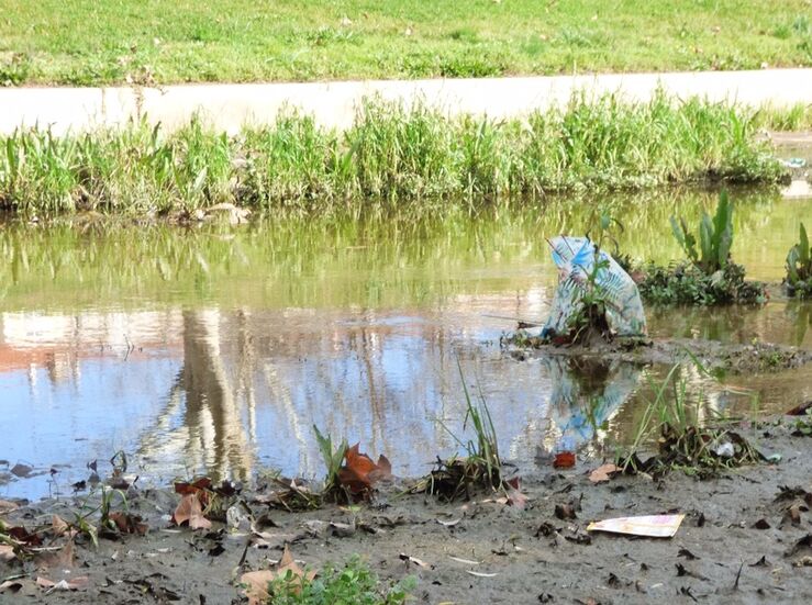 PPMrida critica los problemas de limpieza y la aparicin de roedores junto al Albarregas