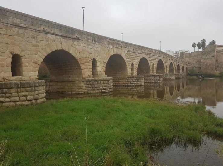 Continan labores limpieza de vegetacin del entorno del Puente Romano de Mrida 