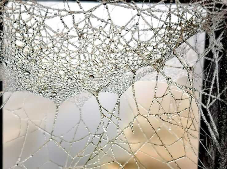 El fin de semana ser invernal con nieve lluvia y mximas de 8C en el centro