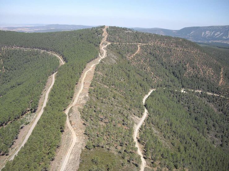 La Junta se suma a Motor Verde el mayor proyecto de reforestacin a gran escala de Espaa