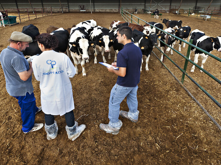 Una oportunidad para jvenes y mujeres rurales las cooperativas agroalimentarias