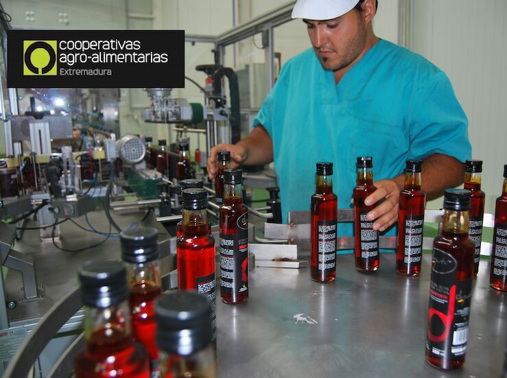 Cooperativas agroalimentarias la fuerza de la unin