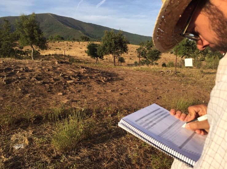 Nueva excavacin plan Pradocastao en Hernn Prez trabaja sobre Dolmen de la Majadilla