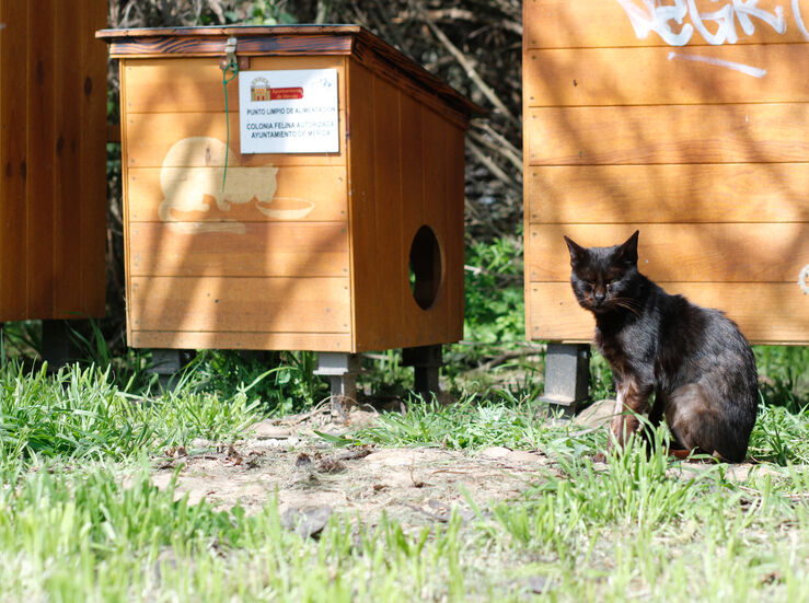 Ayuntamiento de Mrida replica a Ageco y dice haber actuado con control ante crecida ro