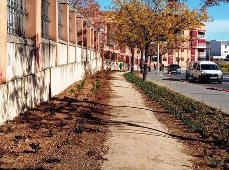 Ayuntamiento Cceres ajardina entorno de Avenida de las Delicias con 2000 plantas y riego