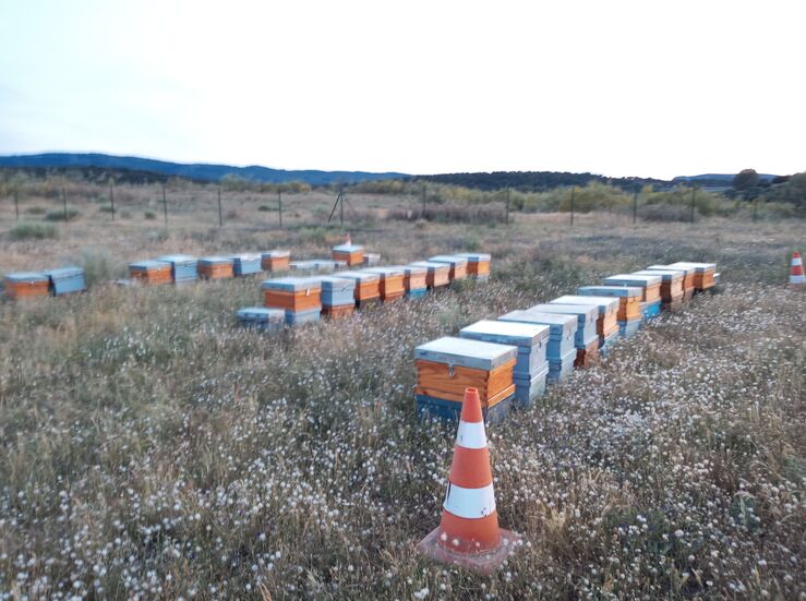 Iberdrola instala 300 colmenas en instalaciones fotovoltaicas en Extremadura y Andaluca