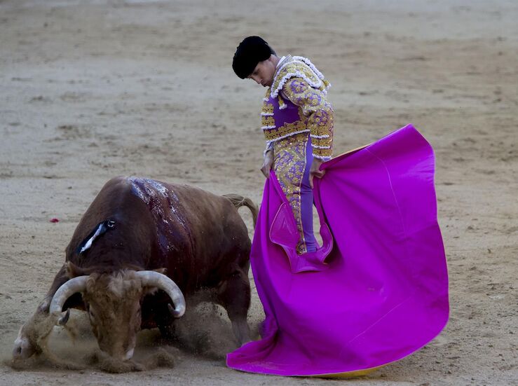Fundacin Franz Weber censura zona joven para menores en corridas de toros en Plasencia