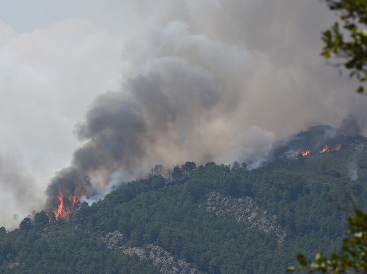 Declarados Zona de Actuacin Urgente los terrenos afectados por incendio en Sierra de Gata