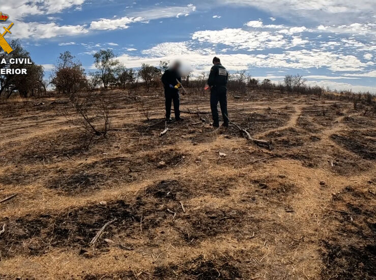 Investigado el supuesto autor de 6 incendios forestales intencionados en Talaveruela